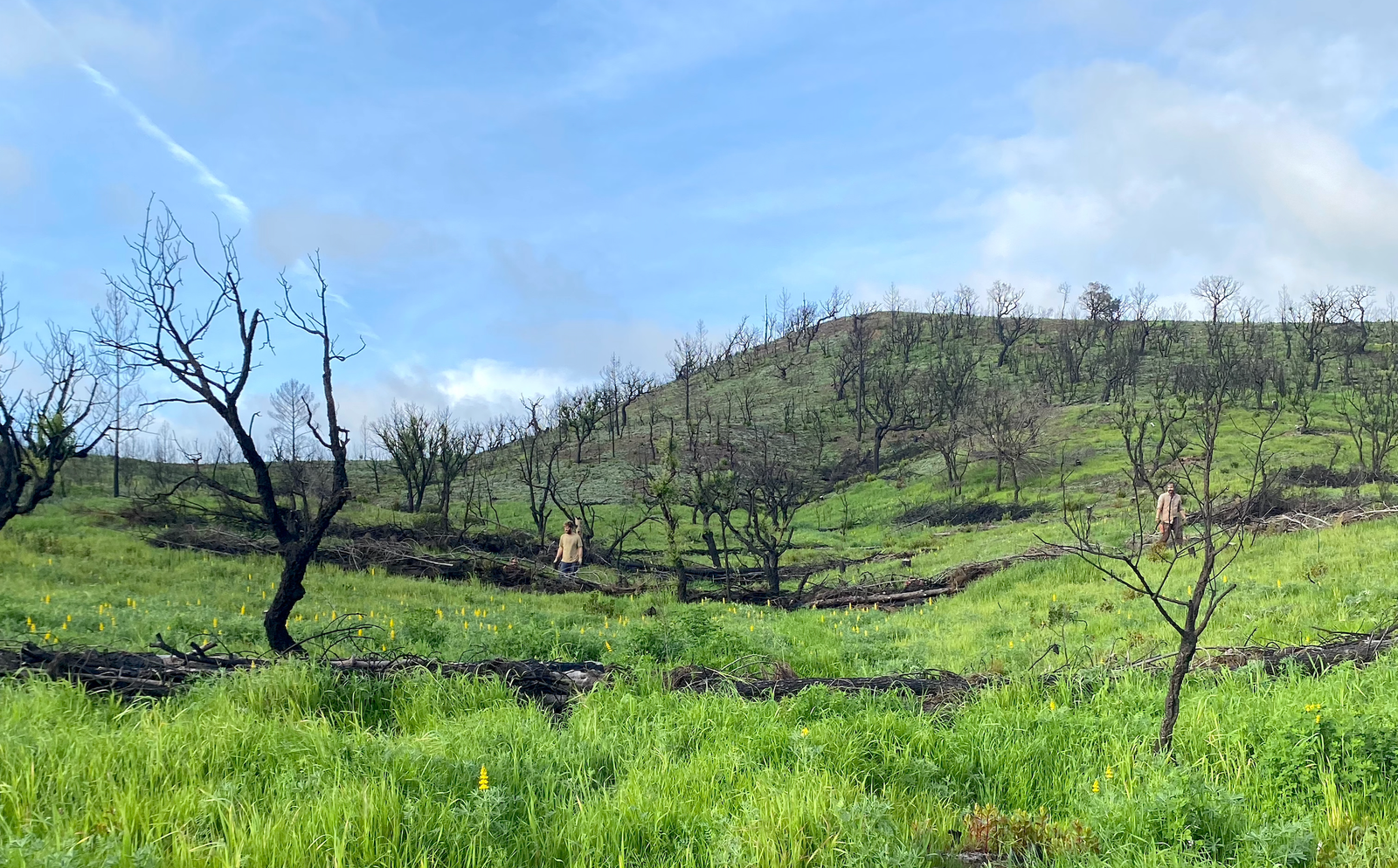 Sextas de Primavera na Medronheira